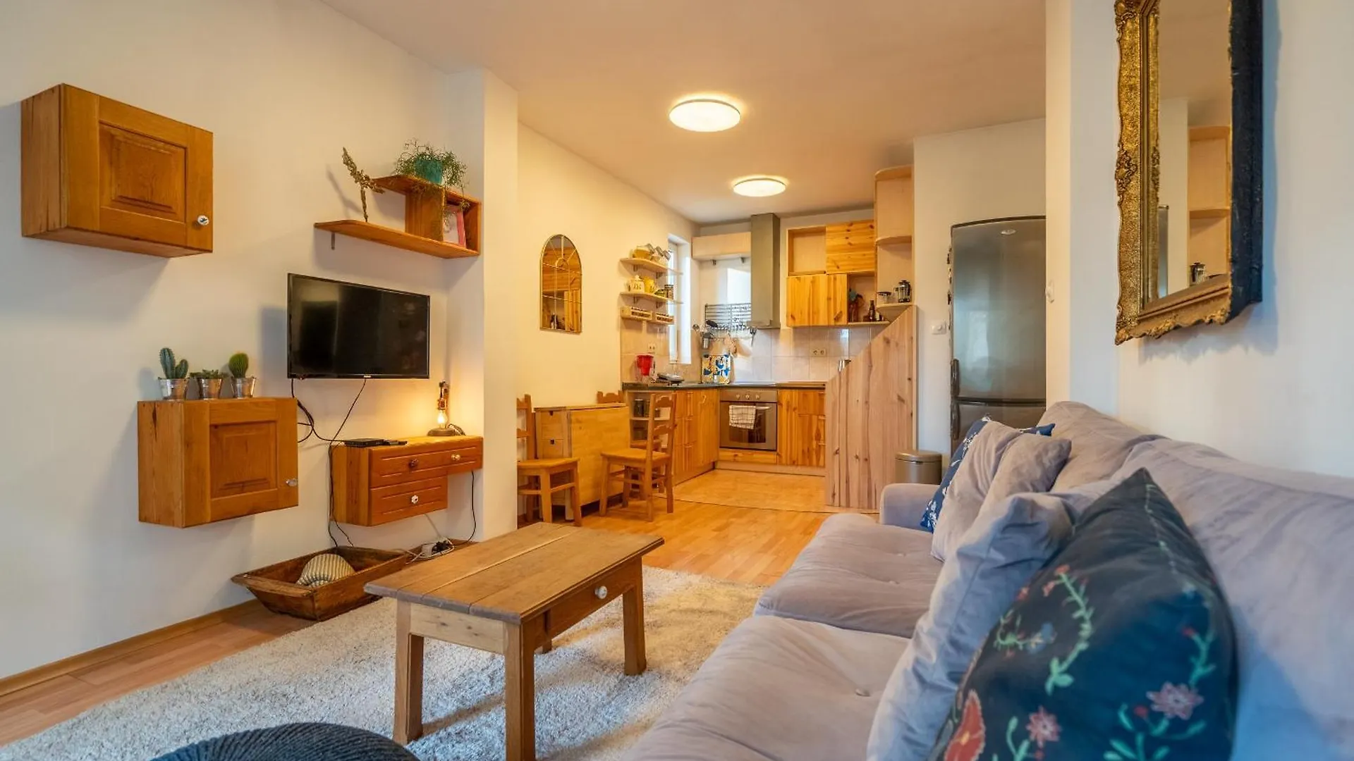 1 Bedroom Natural Condo Sofia