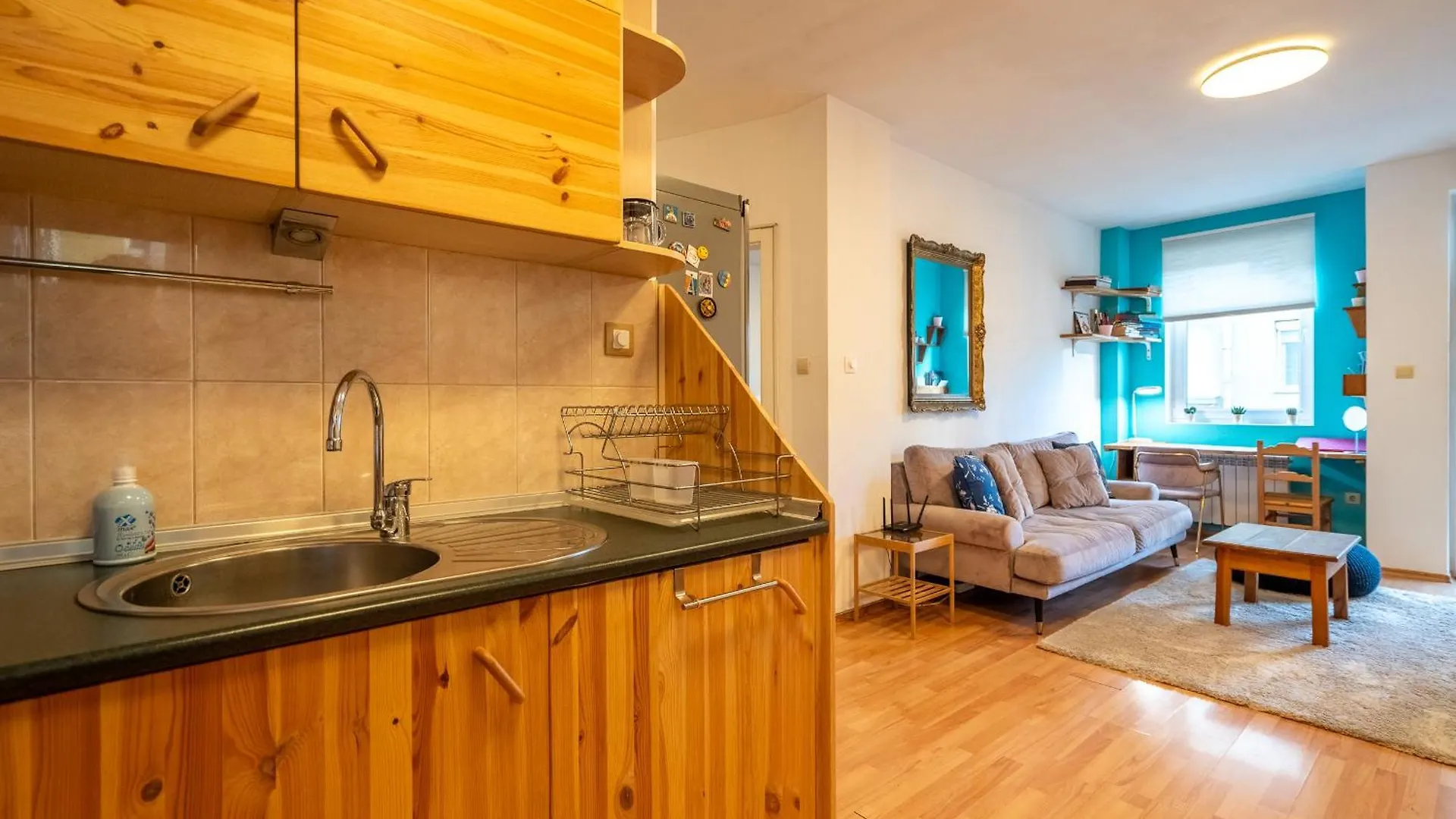 Appartement 1 Bedroom Natural Condo Sofia